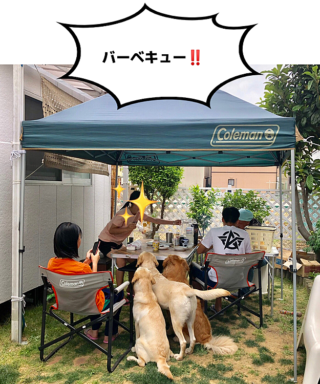 今日は家族みんなでBBQ‼️
もちろん、お三方も一緒に お庭でフリーです🐶🐶🐶🎶