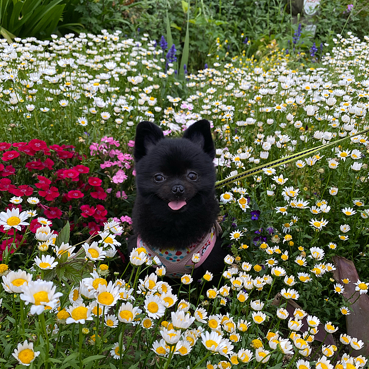 花壇の隙間があったのでお邪魔しちゃいました😁