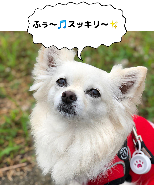 元気モリモリ💩やもんな👍
スッキリしたね😂