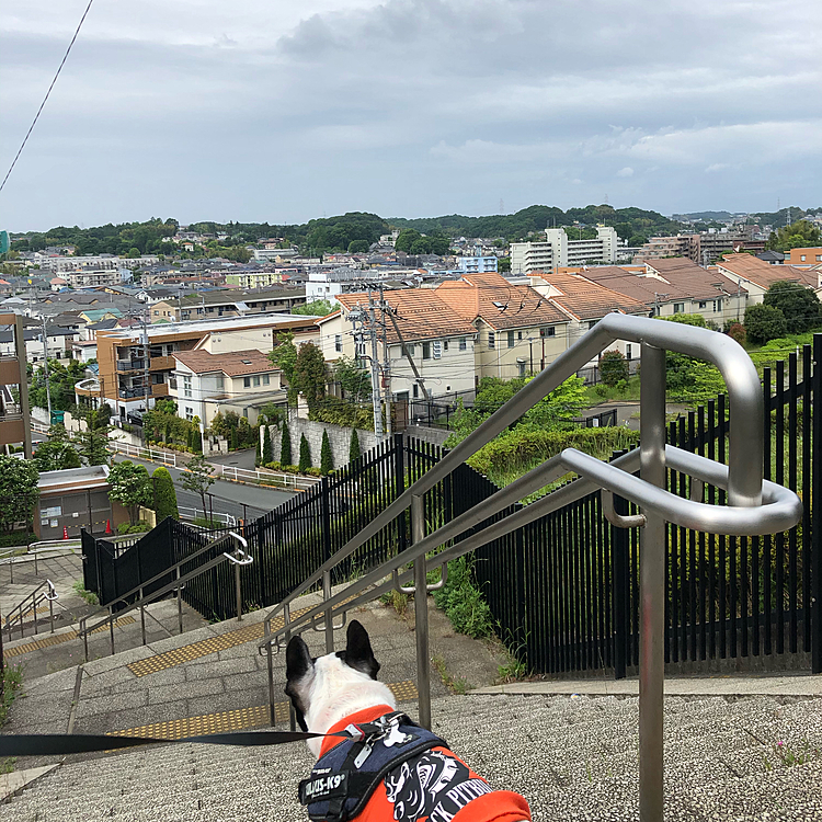 お天気下り坂です😅