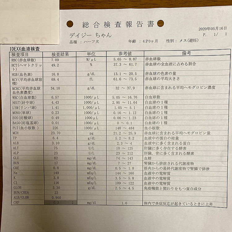 血液検査結果。