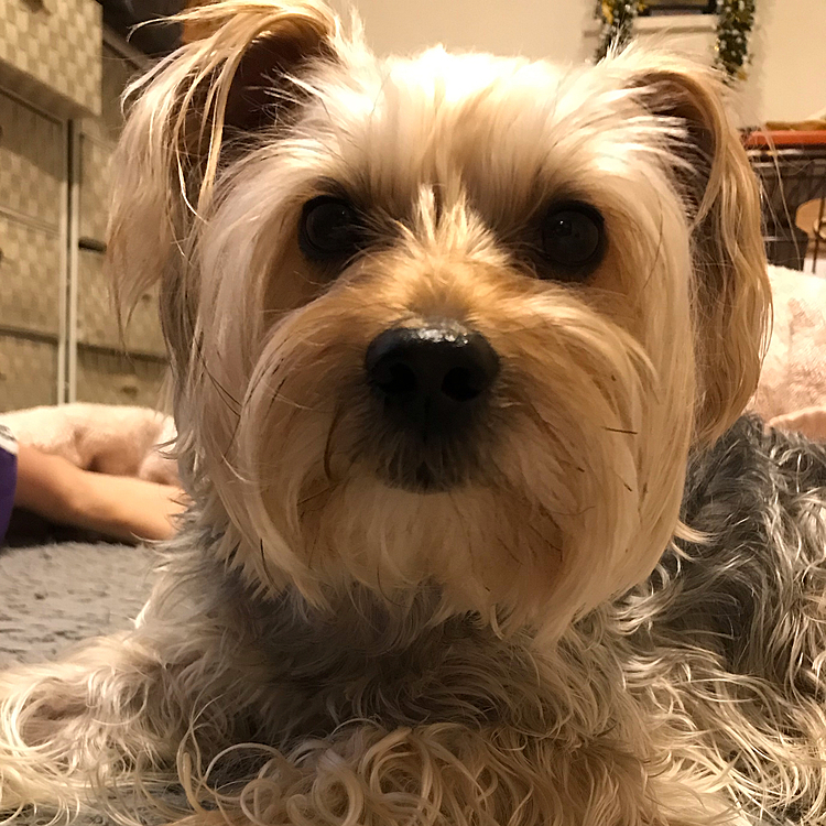 お腹すいたなー🥺