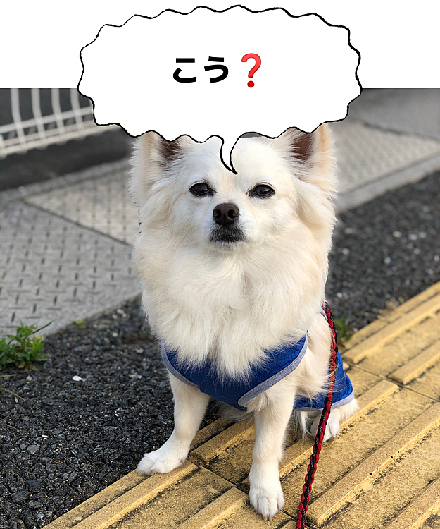 そうそう🎵
シャキッといて、いいね〜✨😆
