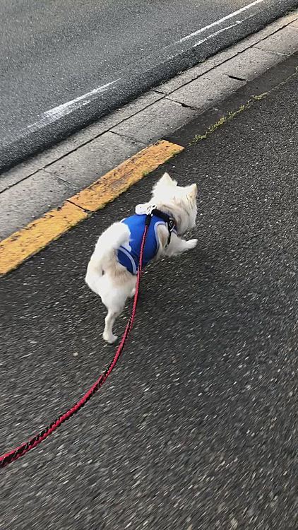 お家🏠帰ろう〜🎵