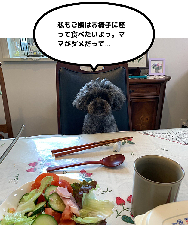 Pearlちゃん❤️の投稿