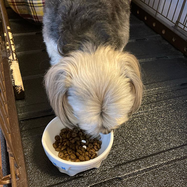 5/18（月）の朝食の様子。
便秘解消して、食欲戻ってよかったね。

