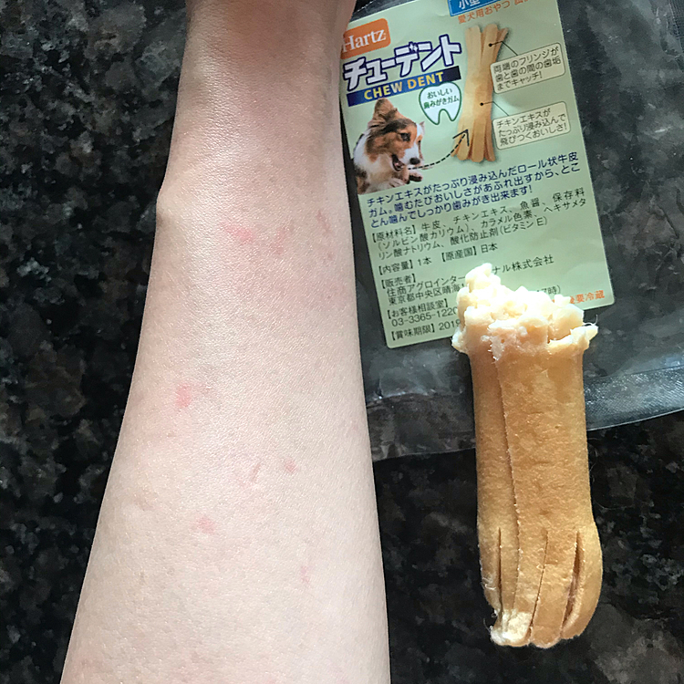 シャワー中は私に抱きついたり、逃げようと必死になるので足や手がこんな風になります💧