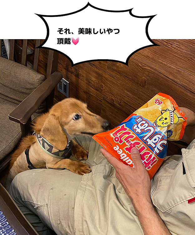 azuruの投稿