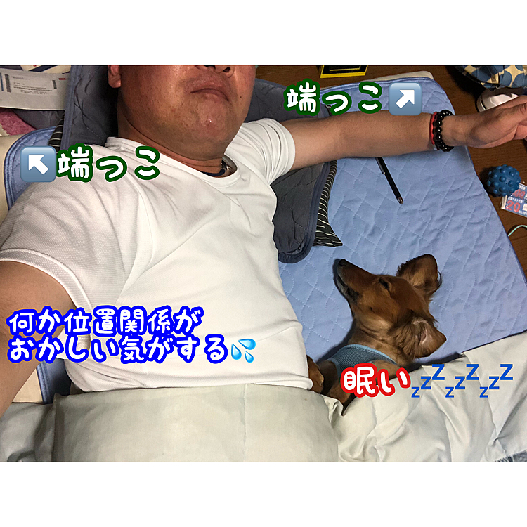 今日もお布団の陣取り合戦なう💦(苦笑)
でも気持ち良さそうに寝てるから､やっぱり自分が引いちゃうんだよね😅💦