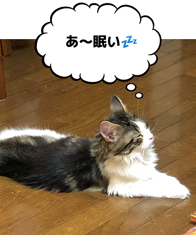 Chocoの投稿