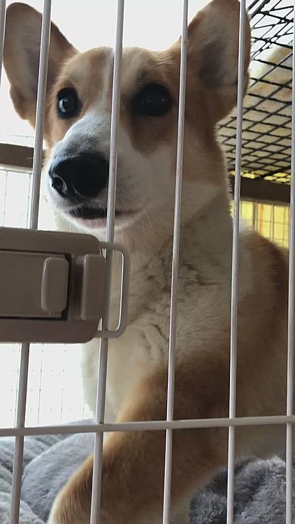 今日は、うるさくし過ぎて🤣
隔離されまちた💦