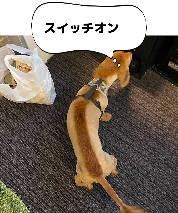 azuruの投稿