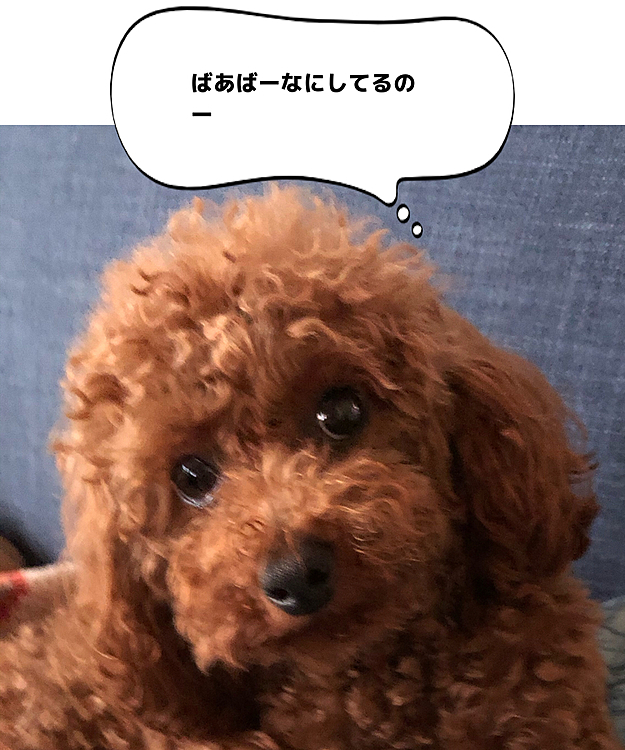 散歩後の☕️タイム。👵👏👏

