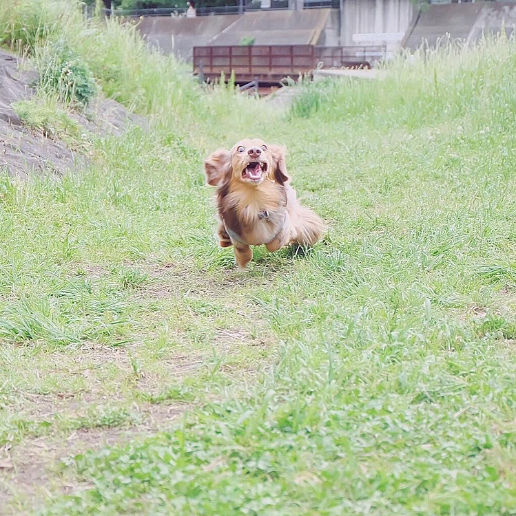 何で走るとこんな顔になるんだろう…😂💦