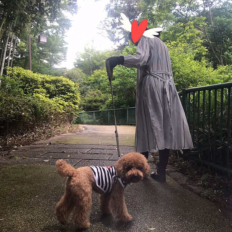 今日は爽やかな晴天でした☀️
なのでずっと家に引き篭もっている母を散歩に誘いました🐾

マスクして😷ソーシャルディスタンスも保ち、大通りでは無く動物園横のあまり人のいない遊歩道を通り大廻りしてショッピングモールを目指しました❣️

途中少し走ってみたり8.4キロ11500歩の良い運動になりました🏃‍♂️
