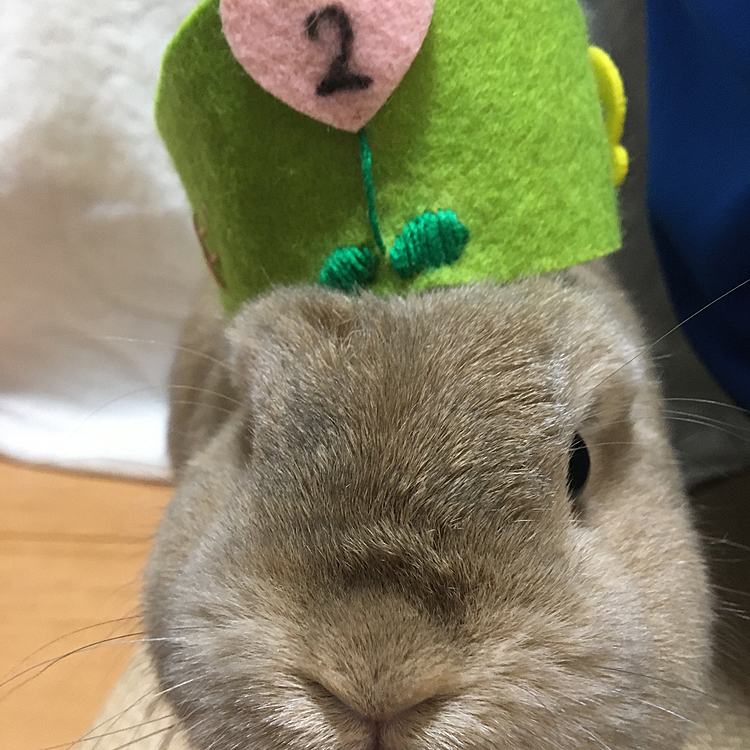 5月20日、今日は心麦の2歳の誕生日！！
