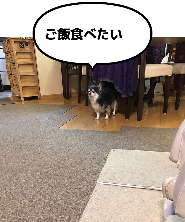 又々、イジケて呼んでも来ない😅
