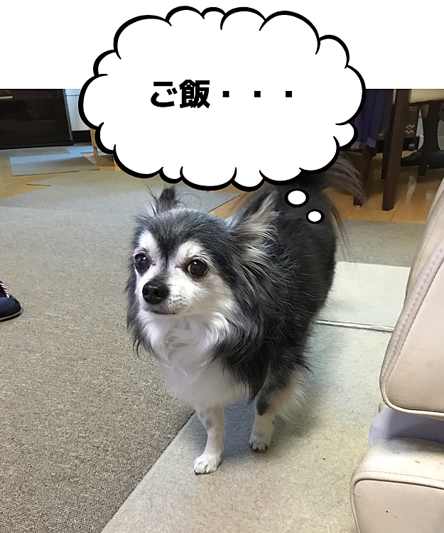 そんな悲しそうな顔しないでよ〜💦
母は辛いよ😭
明日も病院🏥💦
帰ってきたらご飯だからね❣️