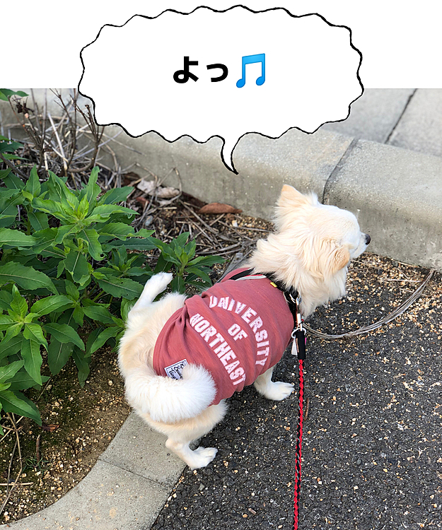 もちろん朝練も欠かさずやってますよ🎵