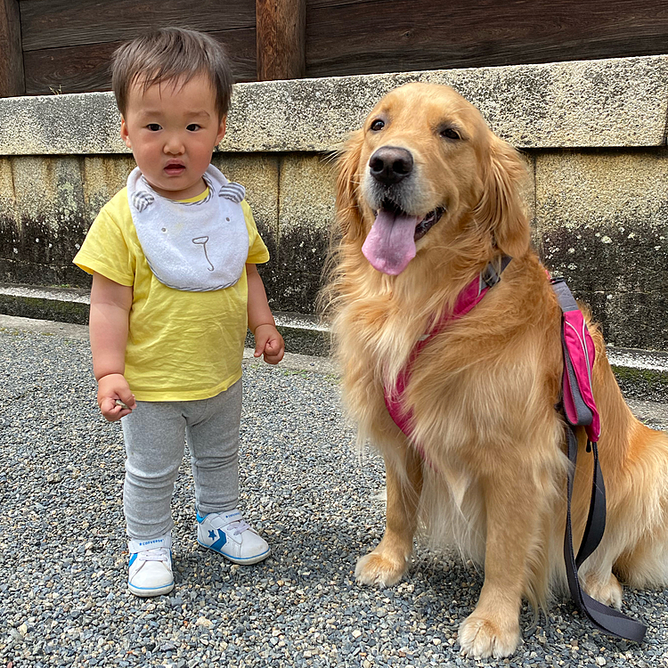 イケメンとイケワン🤣