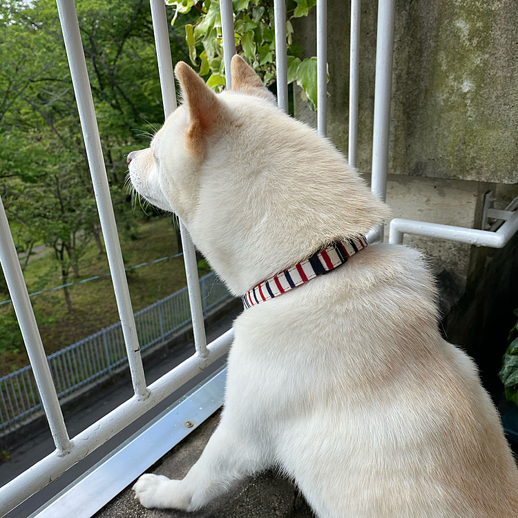 その２
