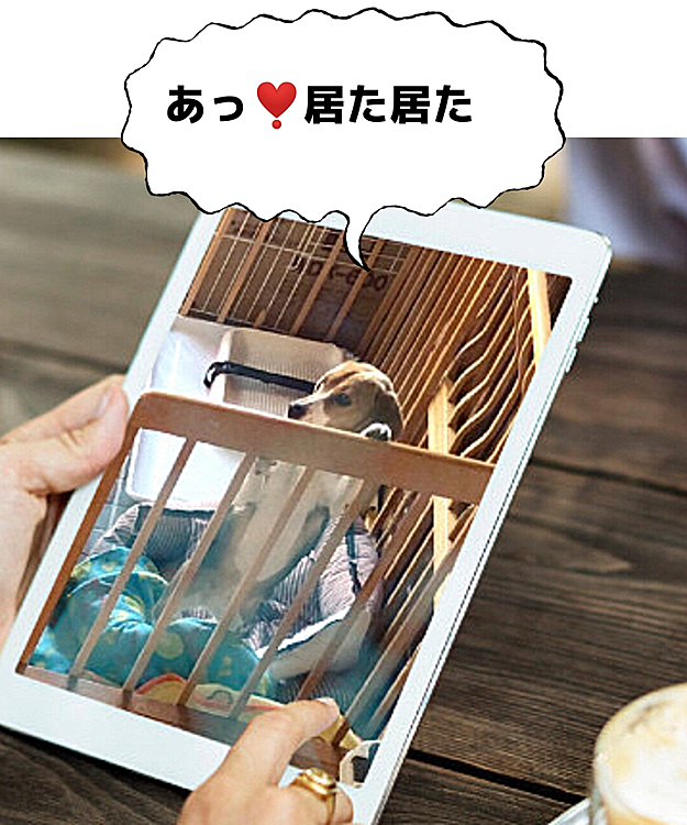 鏡の中の私を見てる❣️😊💖