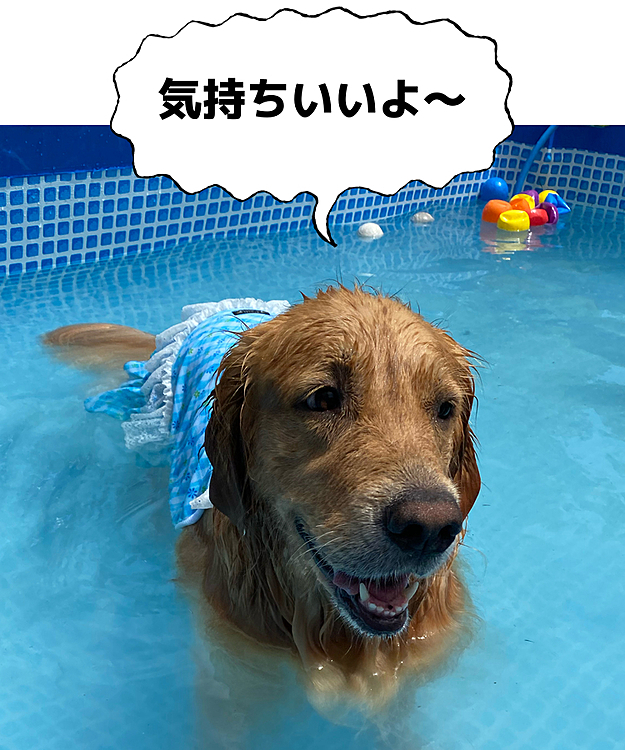 暑かったのでお庭プールしました💕
