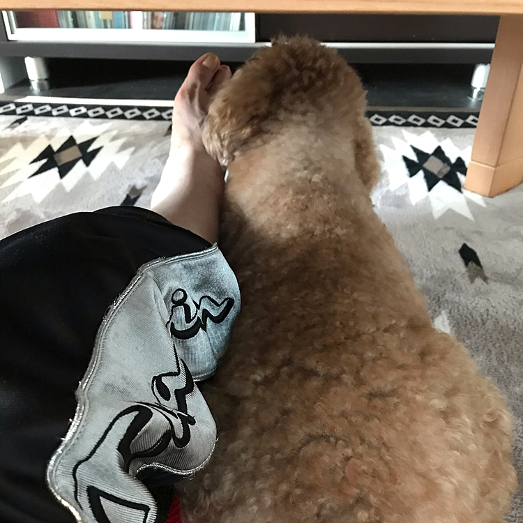 テーブルの下に潜って、母ちゃんの足を綺麗にしてくれてます🤣