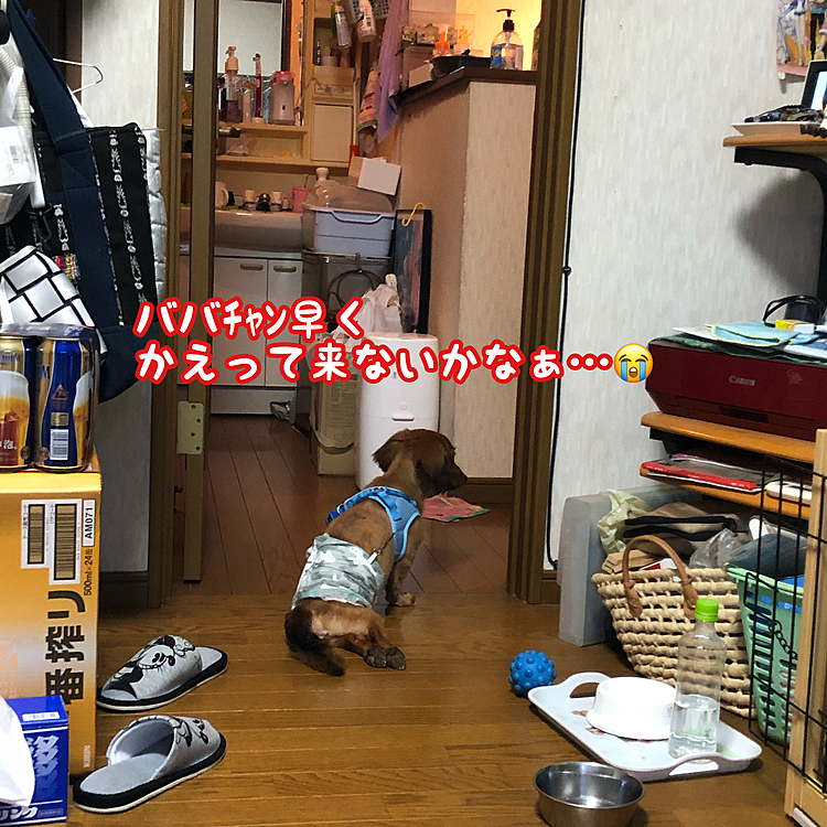 お袋が夕飯のオカズを作りに行っただけなのに…