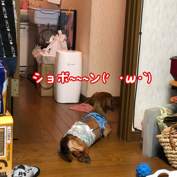 背中が切ない💦💦💦(笑)