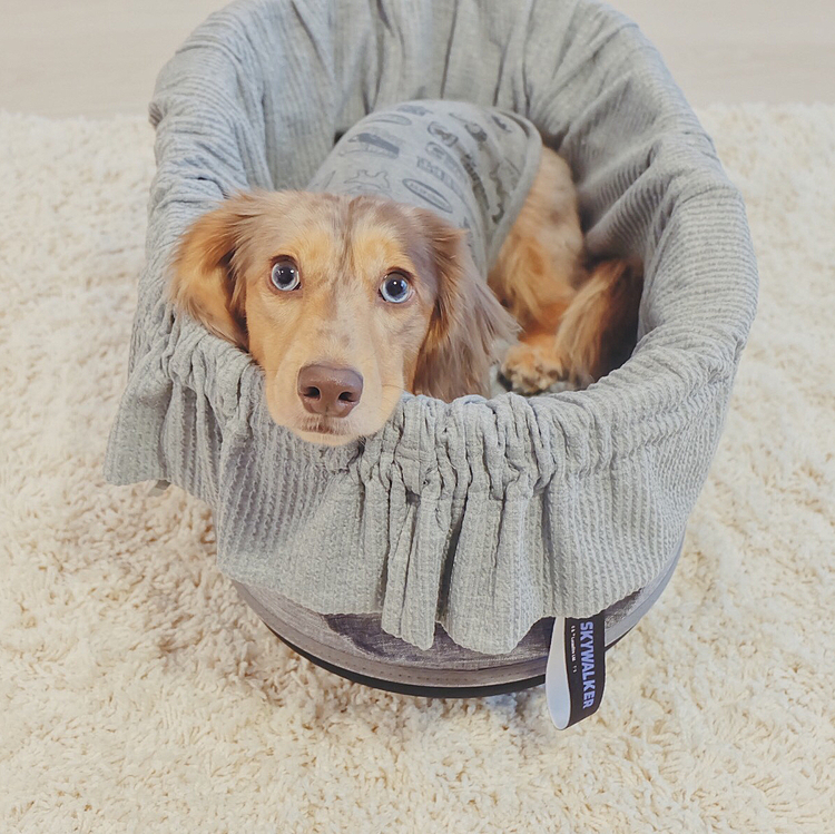 新しいコットカバーが届きました🐶
夏用の薄い生地です。
柔らかいワッフル素材でルークもすぐお気に入り❣️