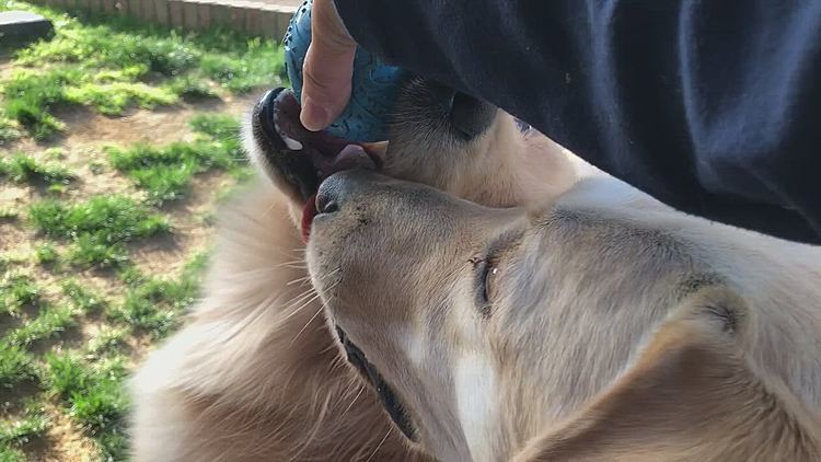 ボール投げ🎾
あれ❓ライト参戦せず⁉️笑