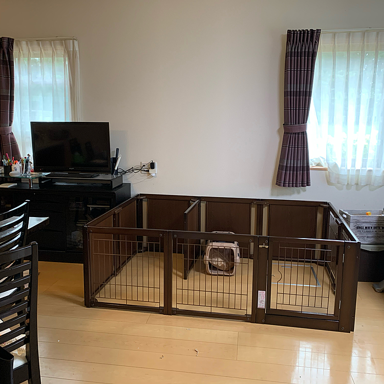 来月の多頭飼いのためにおニューのサークルがいました😊
